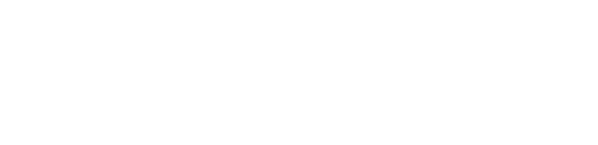 Etincelle de vivre Logo Texte blanc